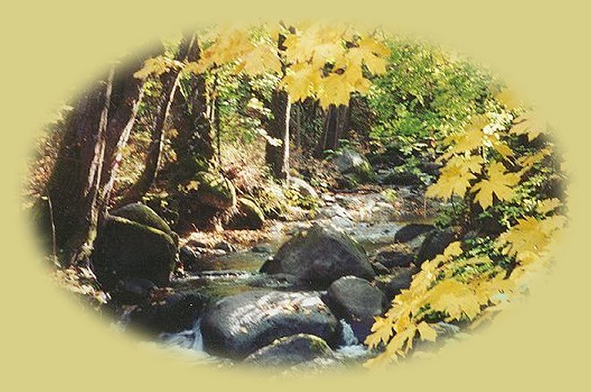 ashland creek in autumn at lithia park in ashland, oregon. not far from crater lake national park, the rogue umpqua scenic byway, offering the wild and scenic rogue river, waterfalls and hiking trails.